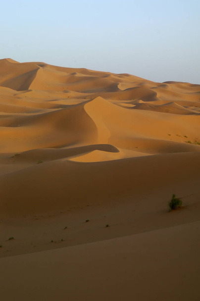 la dune du désert africain
 - Photo, image