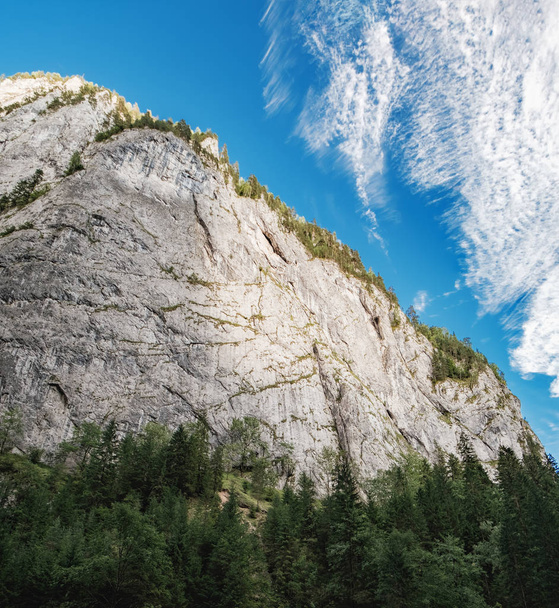 Cliffs of Bicaz Gorge in Carpathians, Romania - 写真・画像