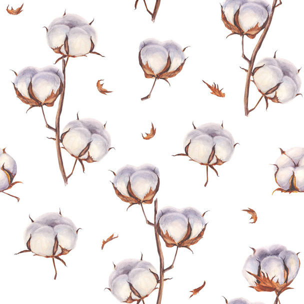 Cotton flower eco buds branches seamless pattern - 写真・画像