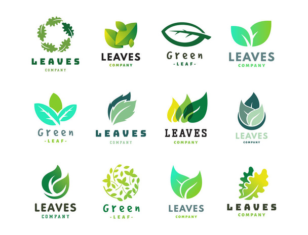 Groene blad eco design vriendelijke karakter elegantie symbool en natuurlijke element ecologie organische vectorillustratie. - Vector, afbeelding