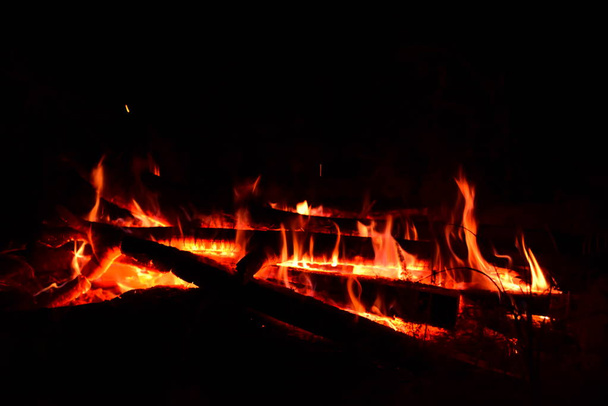 Das Feuer brannte mitten im Wald. - Foto, Bild