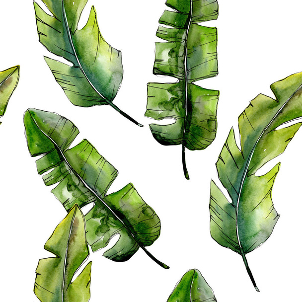 Τροπικό πράσινο lesves σε στυλ υδροχρώματος μοτίβο. - Φωτογραφία, εικόνα