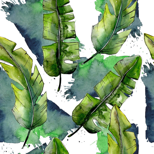 Lesves vertes tropicales dans un motif de style aquarelle
. - Photo, image