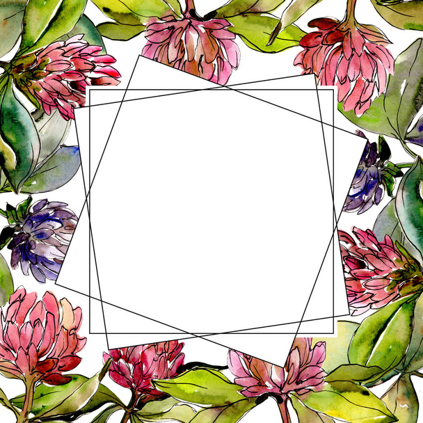 Flor de trébol de flor silvestre en un marco de estilo acuarela
. - Foto, Imagen