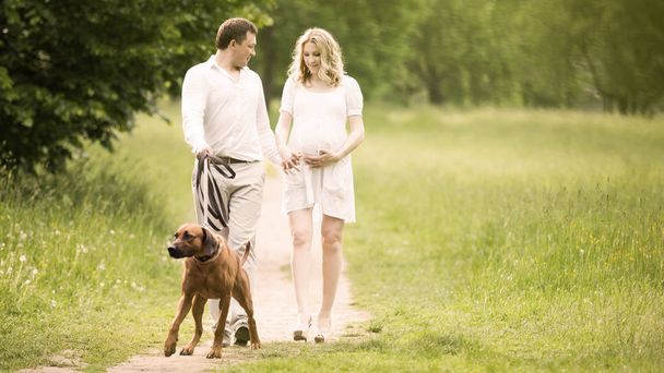 happy couple future parents on the walk with the dog in the Park - 写真・画像