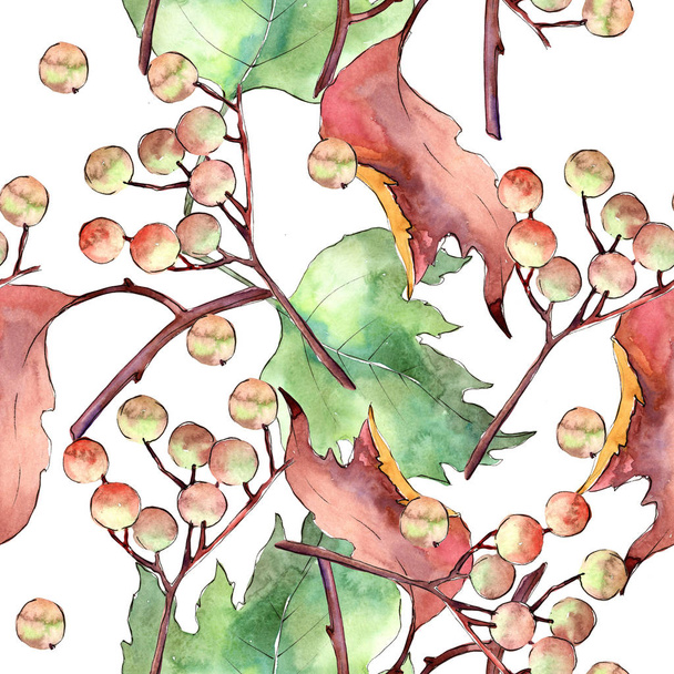 Калина листя в акварель стиль візерунка. - Фото, зображення