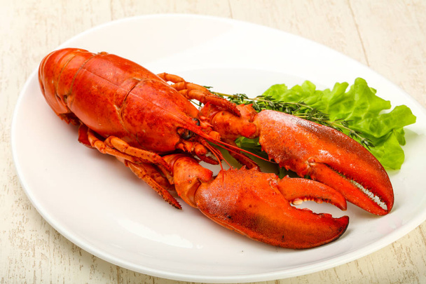 Ízletes konyha - főtt homár elfogyasztható - Fotó, kép