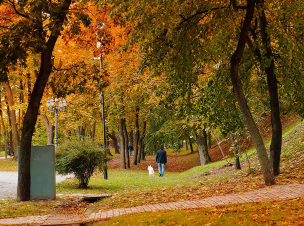 Φθινοπωρινό πάρκο της πόλης, με τα πόδια με ένα σκυλί, φυσικό φως - Φωτογραφία, εικόνα