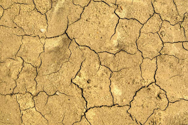 Земля, поврежденная засухой
 - Фото, изображение