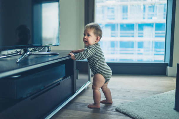 Little baby cruising by the television - 写真・画像