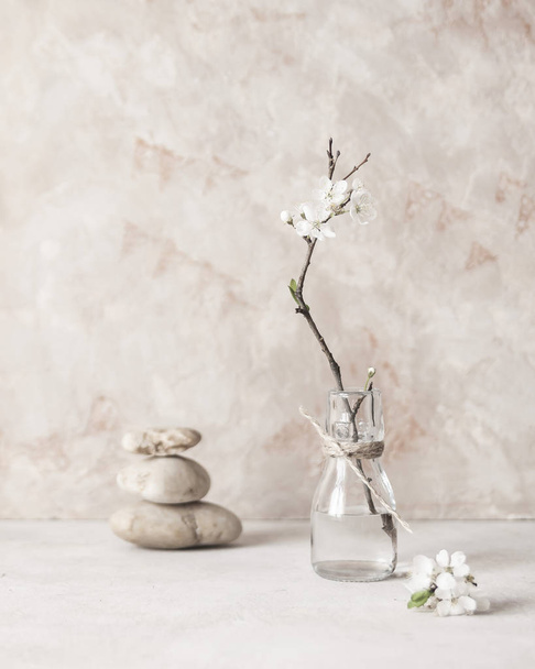 Still life with a branch of blossoming pple trees on the background of textured walls in the style of wabi Sabi. Selective focus. - Foto, afbeelding