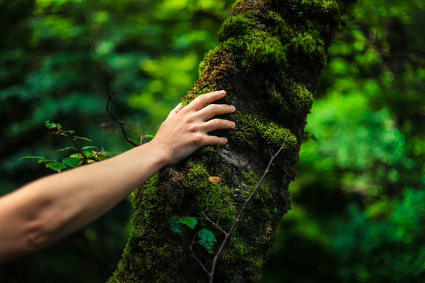 Woman resting her hand on a tree in the forest - Fotoğraf, Görsel