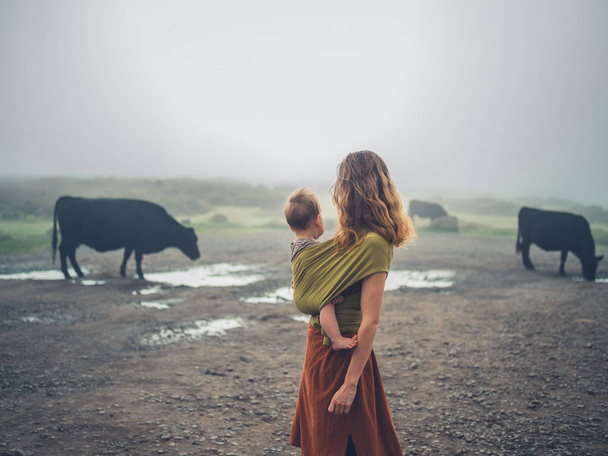 Mother with baby in sling looking at cows - Foto, Bild