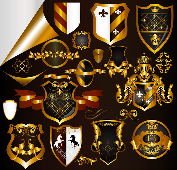 Collection of golden elements arms or labels - Vektor, obrázek