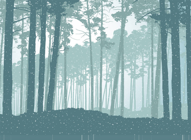 Векторная иллюстрация хвойного леса с падающим снегом
 - Вектор,изображение