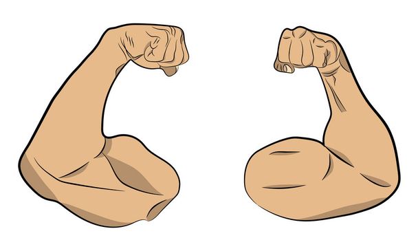 aufgeblasene Muskeln Hände Vektor Zeichnung Illustration - Vektor, Bild