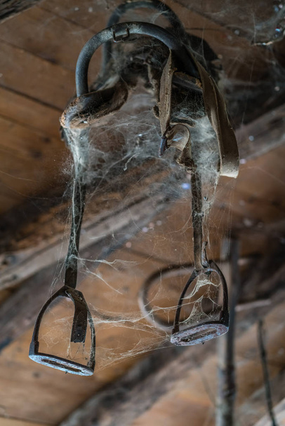 Örümcek ağı kapsamında eski emniyet kemeri - Fotoğraf, Görsel