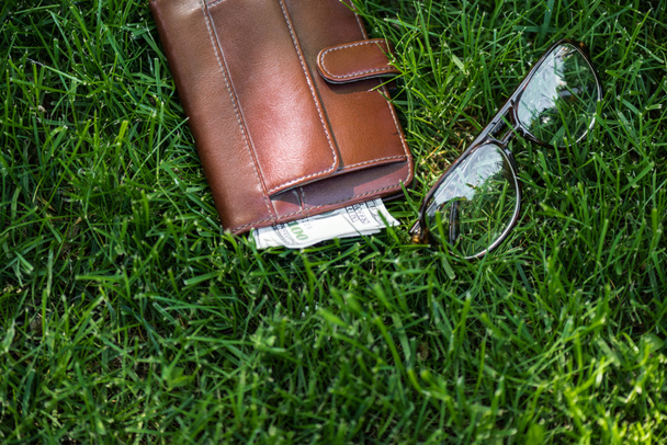 vista de cerca de la cartera masculina con dinero y gafas en la hierba verde
 - Foto, imagen