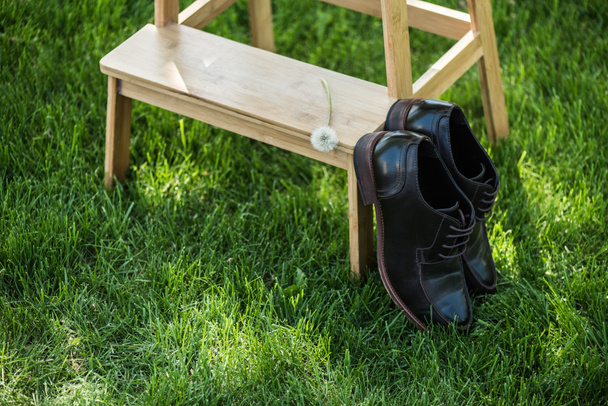 крупный план черной кожаной обуви и одуванчиков на деревянной лестнице на зеленой траве
 - Фото, изображение
