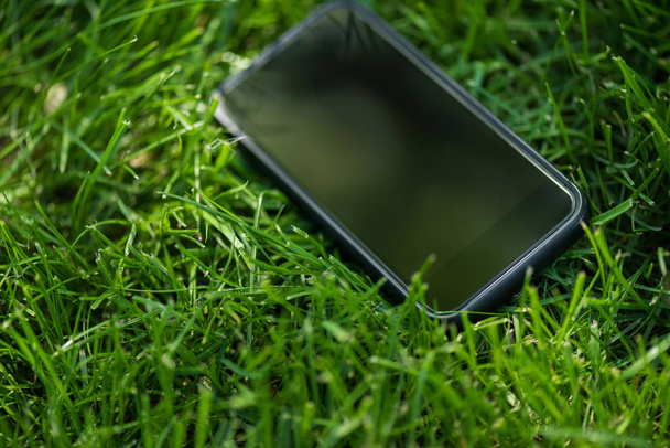 close up view of smartphone with blank screen on green lawn - Фото, зображення