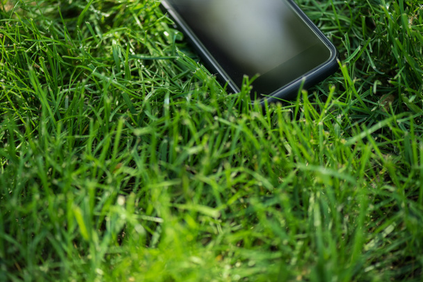 緑の芝生の上の空白の画面を持つスマート フォン ビューをクローズ アップ - 写真・画像