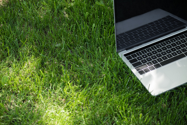 close up view of opened laptop with blank screen on green grass - 写真・画像