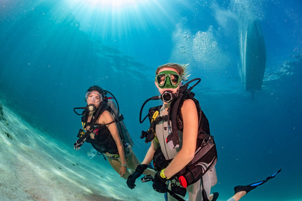 όμορφα κορίτσια που σε κοιτάζω καθώς κολυμπάει υποβρύχια - Φωτογραφία, εικόνα