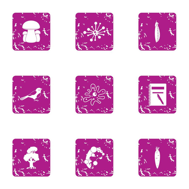 Forest delicacy icons set, grunge style - Vector, afbeelding