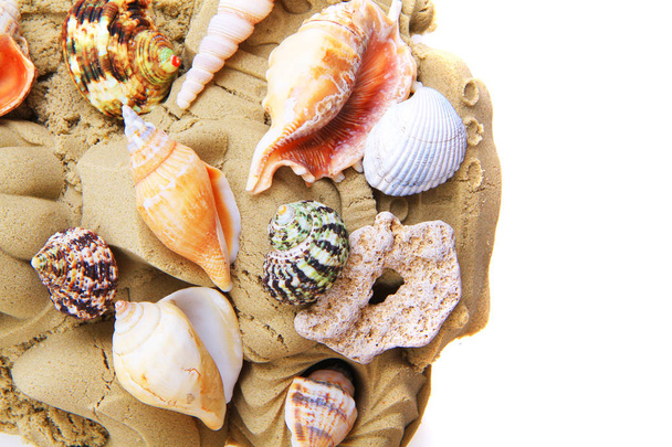 sand objects with sea shells isolated - Fotoğraf, Görsel