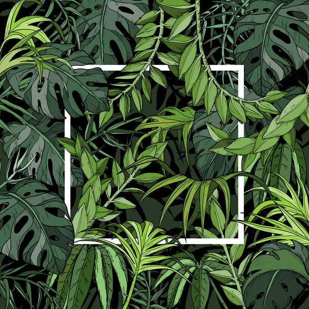Tropical background with palm leaves, jungle plants and white frame - Vector, Imagen