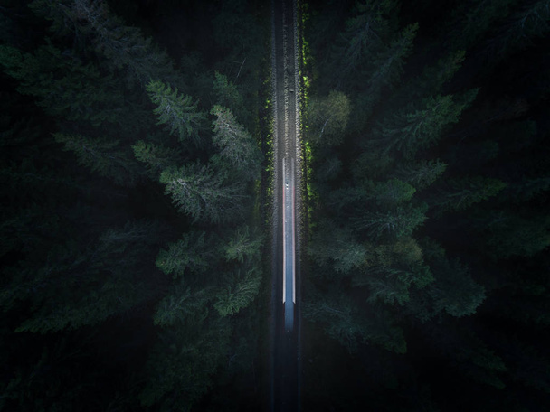 Long exposure of car driving through the forest at night. - Photo, Image