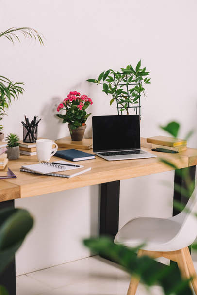 laptop on wooden table with potted plants in workplace - Foto, Imagem