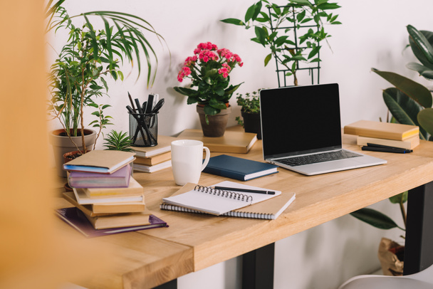 laptop na drewnianym stole z roślin doniczkowych w biurze - Zdjęcie, obraz