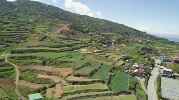 Filipinler 'de bir dağ ilinde tarım arazisi, Luzon - Video, Çekim