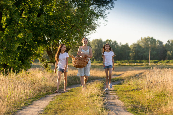 Joyeux jeune famille marchant avec panier sur le pique-nique au champ
 - Photo, image