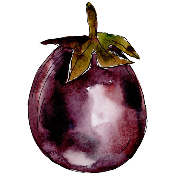 Eggplant wild vegetables in a watercolor style isolated. - Photo, Image