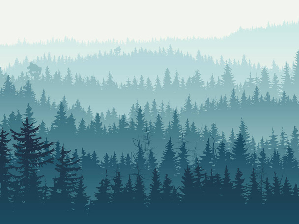 Vízszintes ábrán kék tűlevelű erdő. - Vektor, kép