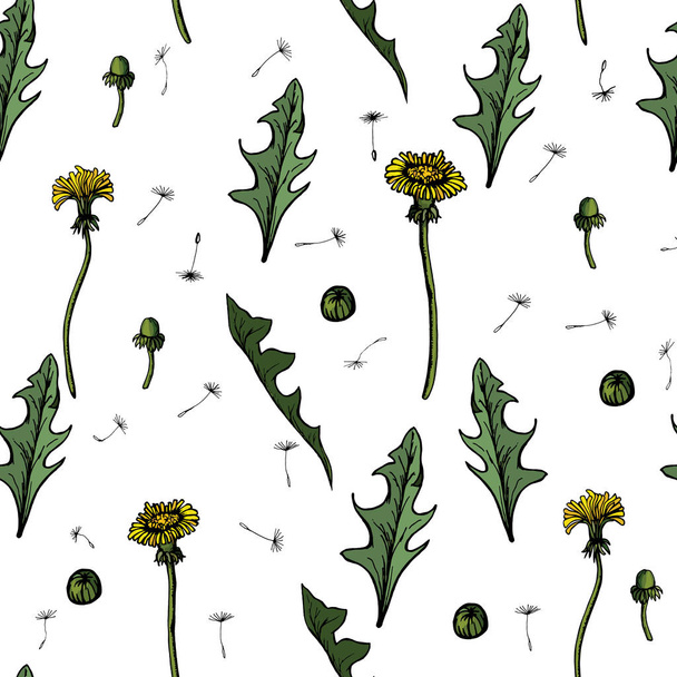 Seamless Vector illustration dandelions with leaves flower meadow. Summer flower natural season beautiful yellow dandelion. - Вектор, зображення