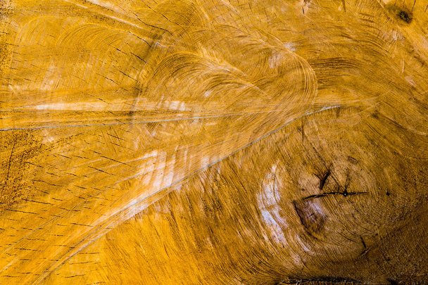 Close-up of cracks and circles on the end of an old log - Fotografie, Obrázek