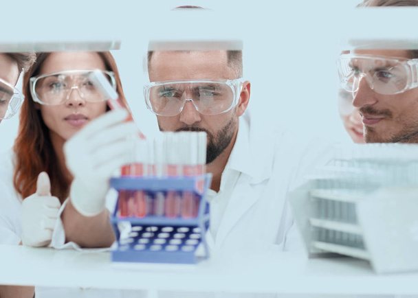closeup of a group of scientists and pharmacists in the laboratory. - Foto, afbeelding