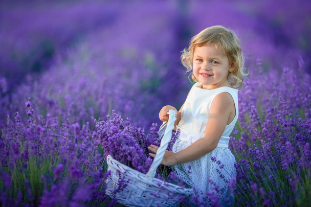 beautiful little girl posing on lavender field holding basket full of flowers - Photo, Image