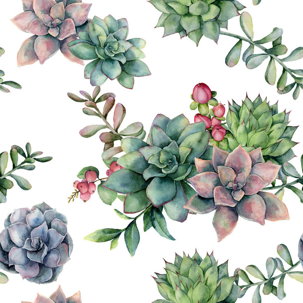 Watercolor seamless pattern with succulent bouquet and red berries. Hand painted flowers, branch and hypericum isolated on white background. Floral illustration for design, fabric, or background. - Photo, image
