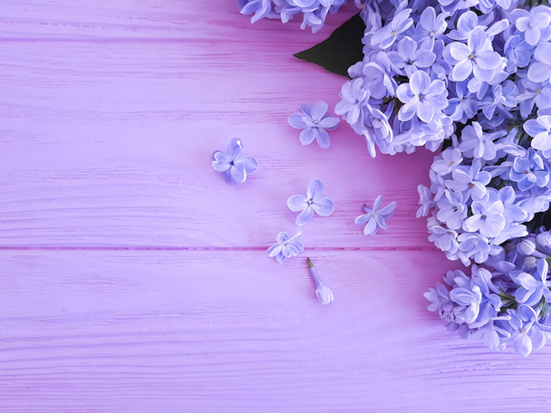 lilac beautiful fresh flower on a pink wooden background - Photo, Image