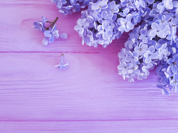 lilla bel fiore fresco su uno sfondo di legno rosa
 - Foto, immagini