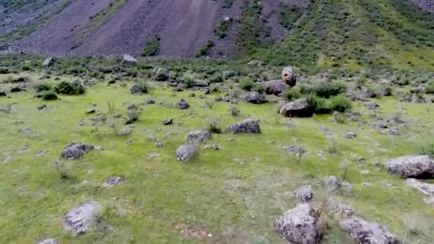 Blick aus der Luft auf das Chulyshman-Tal und den Fluss. die republik altai, russland - Filmmaterial, Video