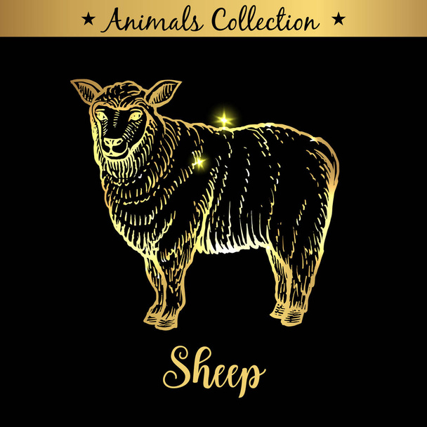Golden Hand Drawn Sheep Sketch and lettering on black background. - Vector, Imagen