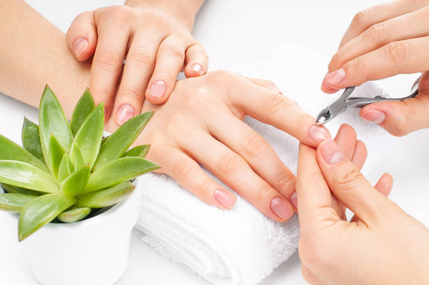 Hands care in the spa. Beautiful woman's hands with perfect manicure - Foto, Bild