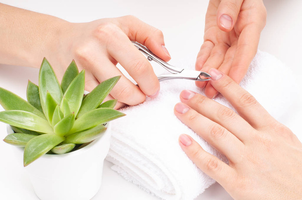 Hands care in the spa. Beautiful woman's hands with perfect manicure - Fotografie, Obrázek