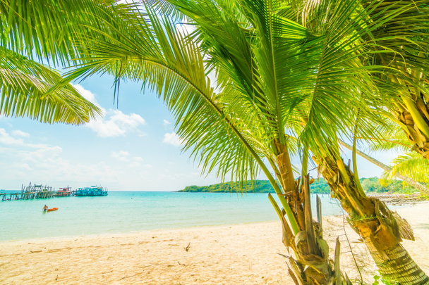 Bela praia tropical e mar com coqueiro em parad
 - Foto, Imagem