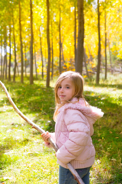 Explorer girl with stick in poplar yellow autumn forest - Foto, afbeelding